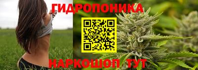 дурь Ликино-Дулёво